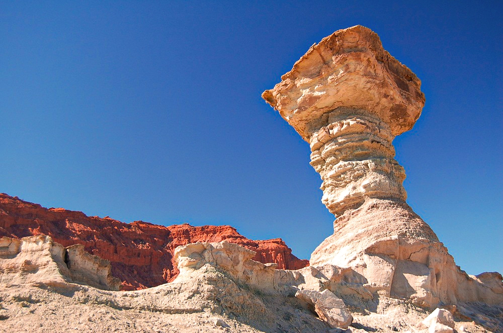 Hongo de Ischigualasto